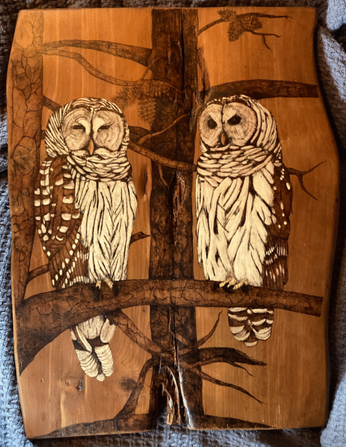 Two Barred Owls in a tree burned on Cedar wood.