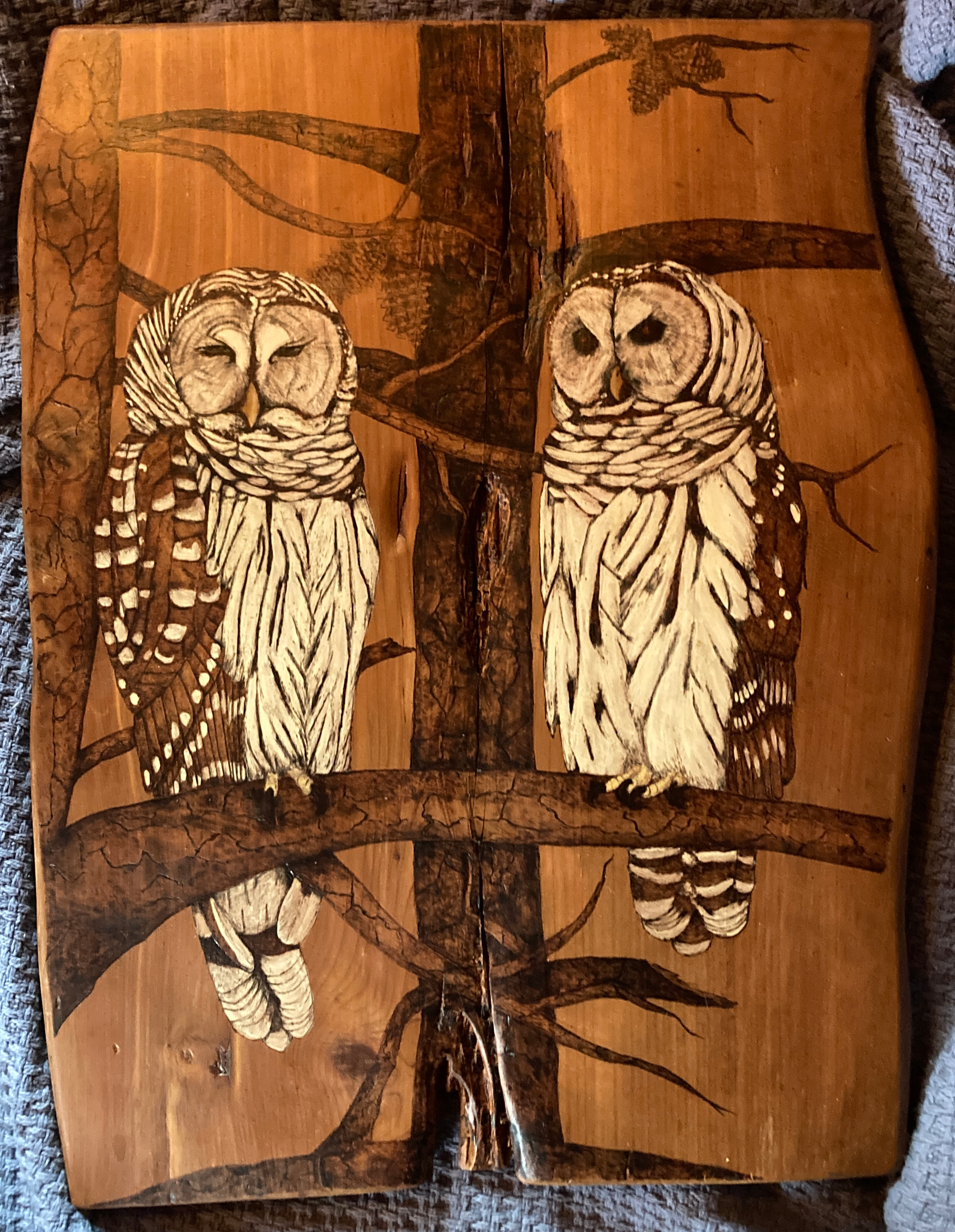 Two Barred Owls in a tree burned on Cedar wood.