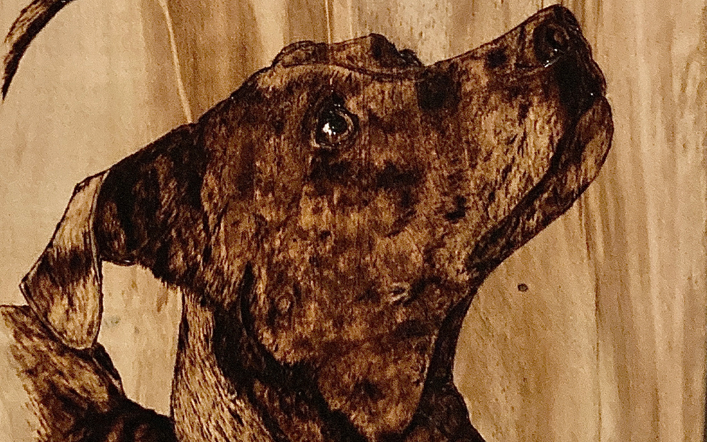 Hand Burned Pyrography