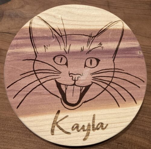 Cat coaster