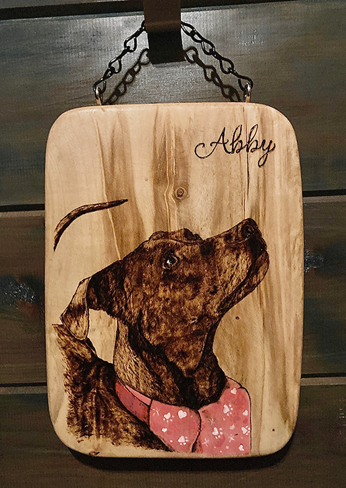 Abby Pet Portrait