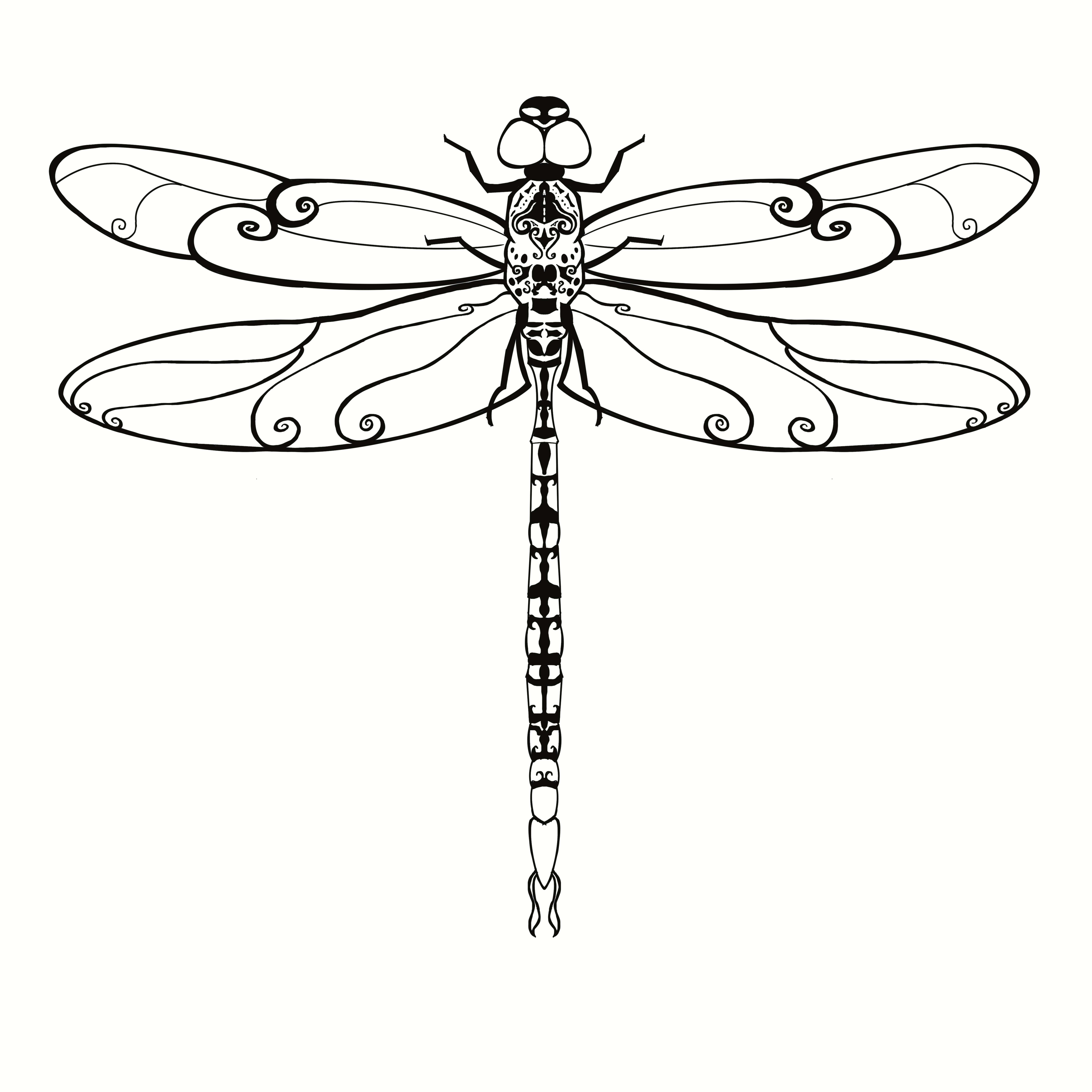 Dragonfly Line Illustration 